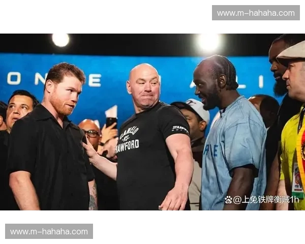 巅峰对决：拳王皮特vs托尼，谁才是真正的擂台收割机？